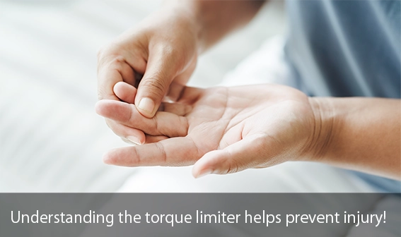 Torque Limiter Mechanism